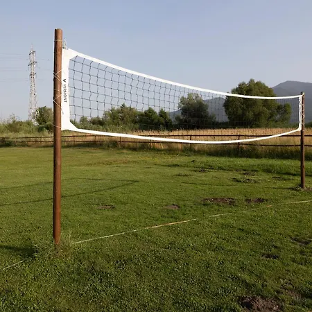 Thermal Seven Seasons 2*