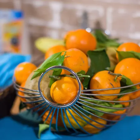 Thermal Seven Seasons 2* Banya (Blagoevgrad)